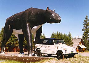 Rover being attacked by a monster