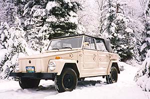 Rover practicing her skiing skills