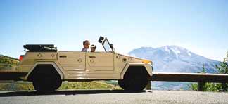 Rover admiring Mount Saint Hellens